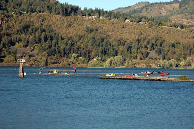 Kites at Hood River sandbar